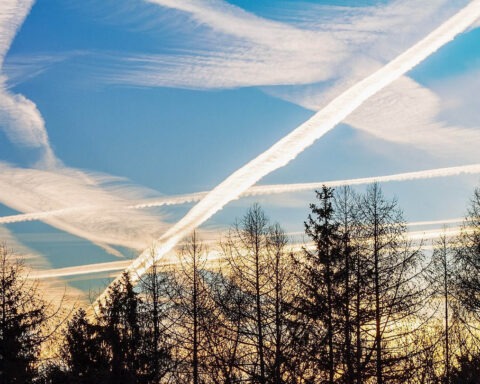 Crisscrossing white trails in the blue sky above silhouetted trees, often mistaken for chemtrails