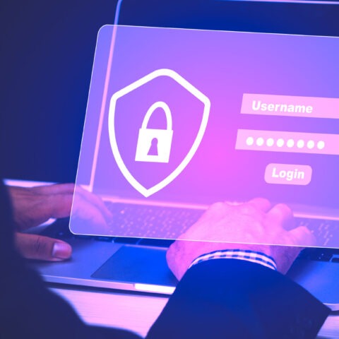 Login screen for password