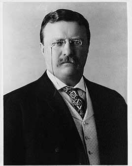 Theodore Roosevelt (1901–1909)