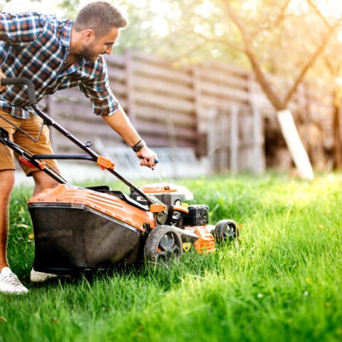 Man mowing lawn with shirt on in backyard