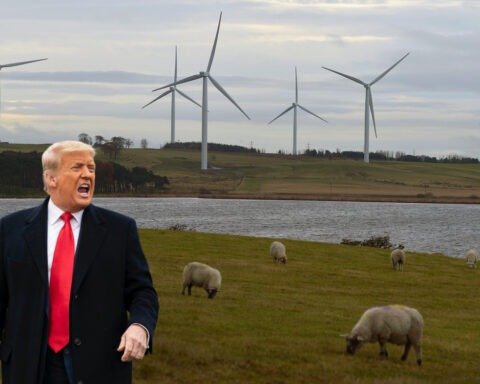 President Trump shouting in front of a field of wind turbines and sheep