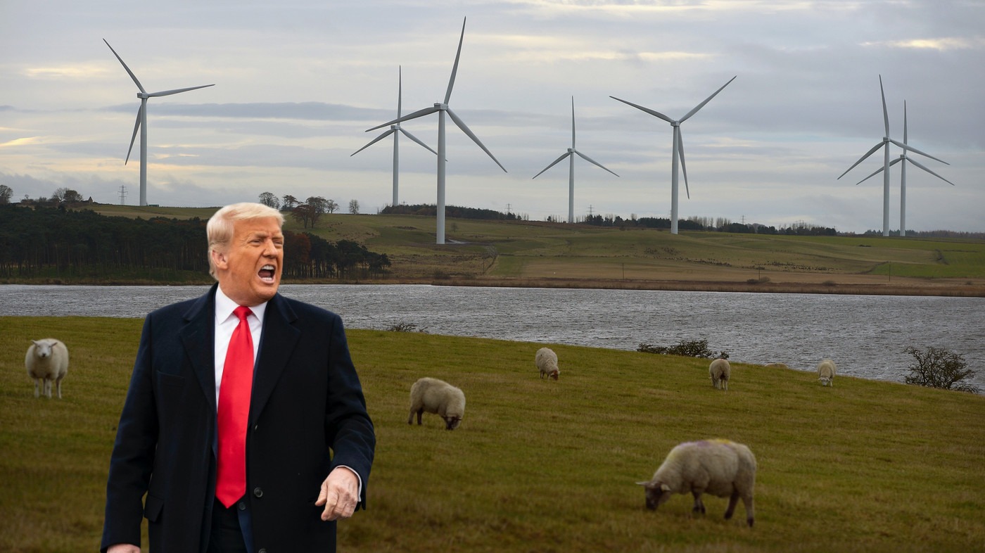 President Trump shouting in front of a field of wind turbines and sheep