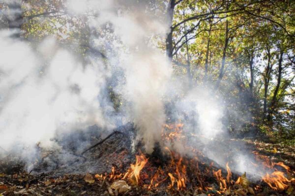 Border Patrol Arrests Firefighters for Being Illegal, Fire Itself Still at Large