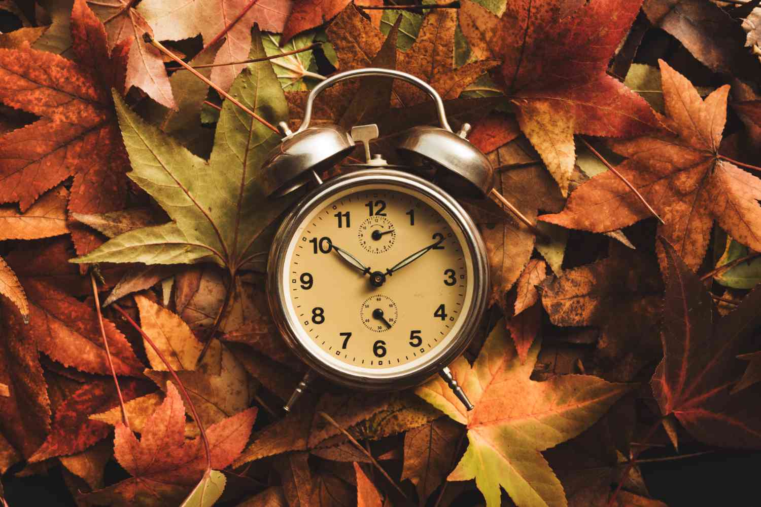 Vintage alarm clock resting on autumn leaves.